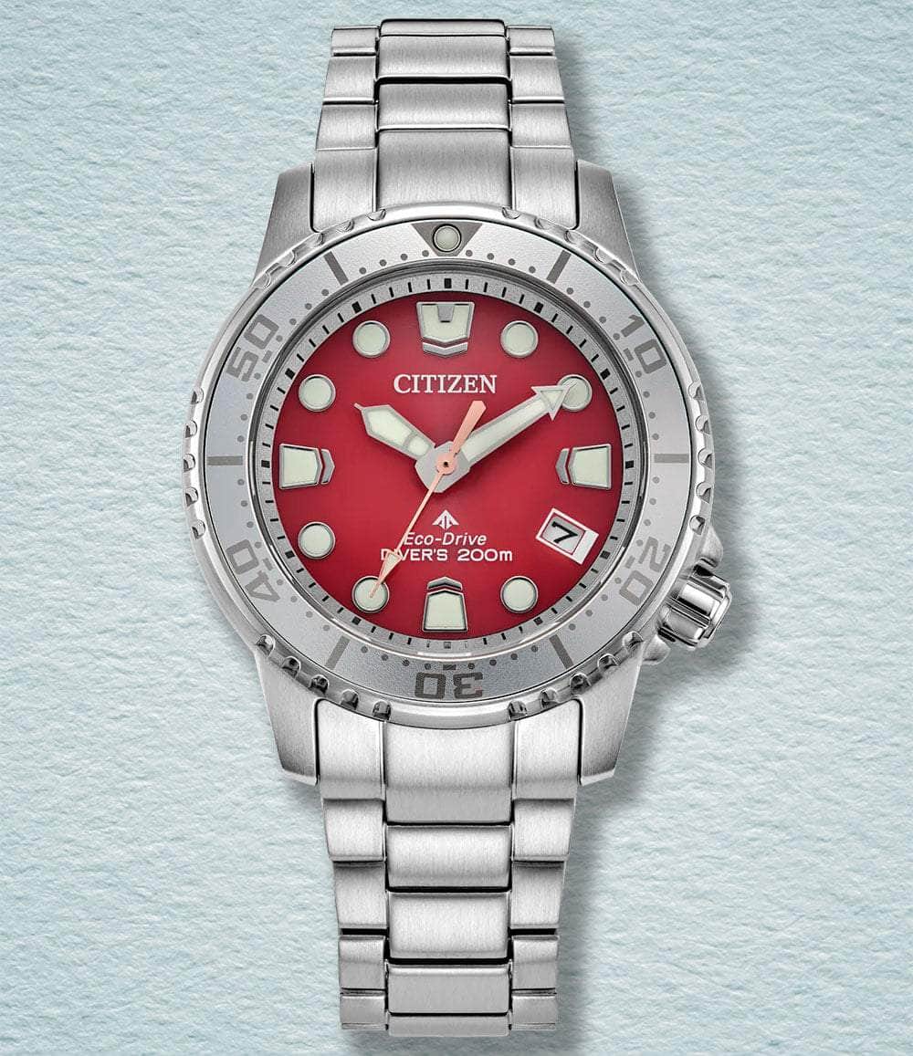 Citizen Women's Diving Watch Citizen Eco-Drive Women's